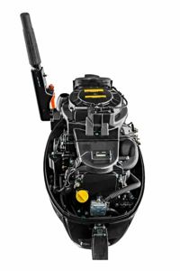 купить 4х-тактный лодочный мотор REEF RIDER RRF9.9HS Pro в Москве - фото 