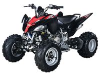 купить Квадроцикл ABM Scorpion 250 в Москве - фото 