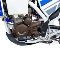 купить Мотоцикл кроссовый эндуро REGULMOTO Legend 300 в Москве - фото 