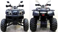 купить Квадроцикл ATV Avenger Tungus 250 в Москве - фото 