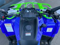 купить Квадроцикл IRIDE 200 ROVER в Москве - фото 