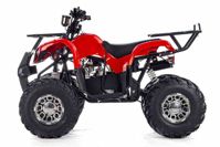 купить Квадроцикл TIGER Opti 150 (2024) в Москве - фото 