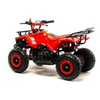 купить Квадроцикл MOTOLAND 50 Scorpion (2021 Г.) в Москве - фото 