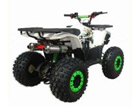 купить Квадроцикл MOWGLI Hardy 8M в Москве - фото 