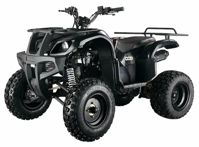 купить Квадроцикл ABM Apache 150 Basic в Москве - фото 