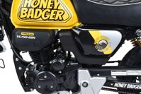 купить Мотоцикл MOTOLAND Monkey 150 PITBIKE в Москве - фото 