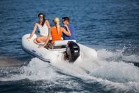 купить 4х-тактный лодочный мотор MERCURY F 20 ELPT EFI в Москве - фото 