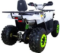 купить Квадроцикл AVANTIS Hunter 200 New Premium (2020) в Москве - фото 