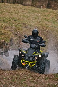 купить Квадроцикл TGB Target 600 EPS  (ПСМ) в Москве - фото 