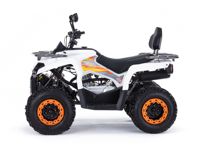 купить Квадроцикл MOTAX ATV Grizlik 200 Ultra в Москве - фото 