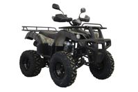 купить Квадроцикл UNIVERSAL Avenger 250 MECHANICS в Москве - фото 