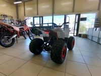 купить Квадроцикл ATV Commander 2 Cross в Москве - фото 