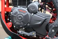 купить Мотоцикл кроссовый эндуро PROCIDA 2020 PR300 в Москве - фото 