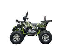 купить Квадроцикл GRIZZLY 200 Pro в Москве - фото 