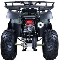 купить Квадроцикл AVANTIS Hunter 150 Lite в Москве - фото 