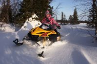 купить Снегоход РУССКАЯ МЕХАНИКА Tiksy 250 Люкс в Москве - фото 