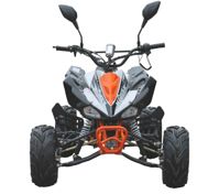купить Квадроцикл MOTAX ATV T-Rex LUX 125 cc в Москве - фото 
