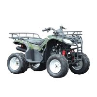 купить Квадроцикл WELS Purga 170 в Москве - фото 