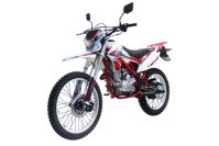купить Мотоцикл WELS MX250RL ENDURO в Москве - фото 