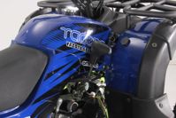 купить Квадроцикл YACOTA Sela 200 Max в Москве - фото 