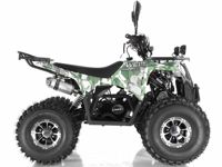 купить Квадроцикл WELS Thunder 125 Lux в Москве - фото 