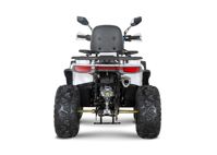 купить Квадроцикл YACOTA Viking 200 PRO в Москве - фото 