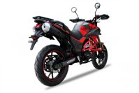 купить Мотоцикл ROCKOT Hound 250 LUX ТУРЭНДУРО в Москве - фото 