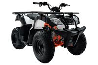 купить Квадроцикл KAYO AU150 CVT в Москве - фото 
