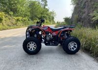 купить Квадроцикл TIGER 4х4 380 в Москве - фото 