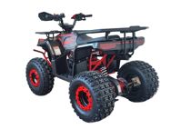 купить Квадроцикл YACOTA Vektor 125 в Москве - фото 