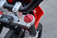 купить Мотоцикл REGULMOTO Seven Medalist Pro 19/16 PITBIKE в Москве - фото 