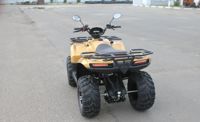 купить Квадроцикл IRBIS ATV 250 Premium в Москве - фото 