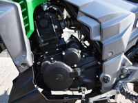 купить Мотоцикл REGULMOTO T-Leopard 300 в Москве - фото 