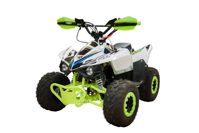 купить Квадроцикл RACER RC 110 Coyote в Москве - фото 