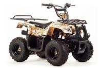 купить Квадроцикл MOTOLAND 110 Rider (2021 Г.) в Москве - фото 