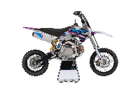 купить Мотоцикл YCF Pilot F150 PITBIKE в Москве - фото 