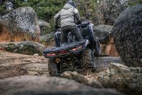 купить Квадроцикл KAWASAKI Brute Force 750 EPS (2024) (ПСМ) в Москве - фото 