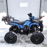 купить Квадроцикл MOTOLAND 125 Fox A в Москве - фото 