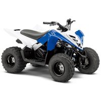 купить Квадроцикл YAMAHA YFM90R (Raptor 90) в Москве - фото 