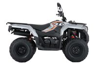 купить Квадроцикл LONCIN TRV350 Pro 22 в Москве - фото 