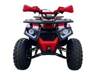 купить Квадроцикл AVANTIS Optima 8 в Москве - фото 