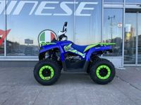 купить Квадроцикл IRIDE 200 ROVER в Москве - фото 