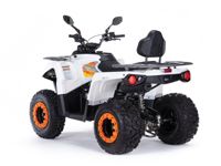 купить Квадроцикл MOTAX ATV Grizlik 200 Ultra в Москве - фото 