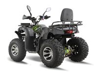 купить Квадроцикл GRIZZLY 200 Premium в Москве - фото 