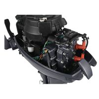 купить 2х-тактный лодочный мотор ALLFA CG T9.9 в Москве - фото 