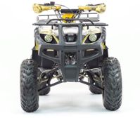 купить Квадроцикл MOTOLAND 250 Adventure (2021 Г.) в Москве - фото 