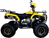 купить Квадроцикл AVANTIS Patriot M в Москве - фото 