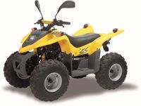 купить Квадроцикл ADLY 100 в Москве - фото 