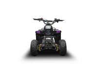 купить Квадроцикл RAPTOR 150 Universal в Москве - фото 