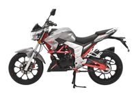 купить Мотоцикл REGULMOTO Raptor 250 New в Москве - фото 